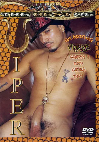 The Best of Viper poster