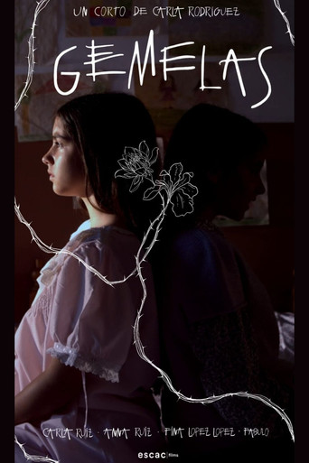 Gemelas poster