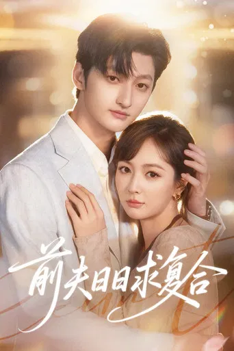 前夫日日求复合 poster