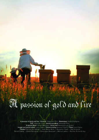 A Passion of Gold and Fire poster