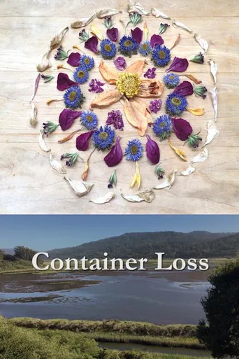 Container Loss poster