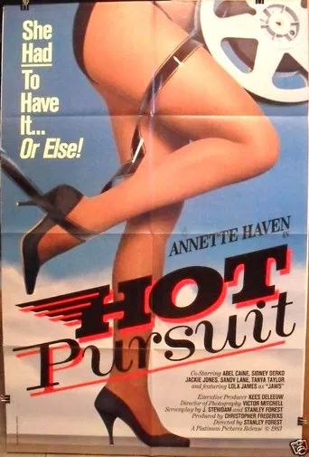 Hot Pursuit poster