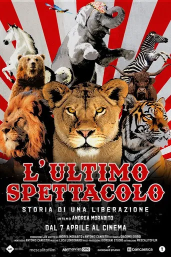 L’ultimo spettacolo poster