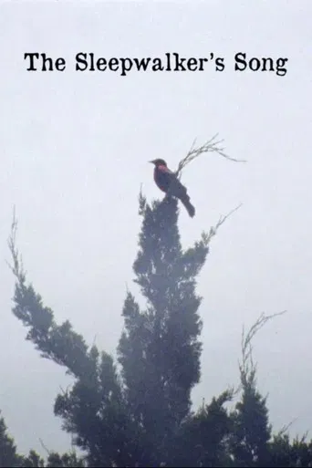 The Sleepwalker's Song poster