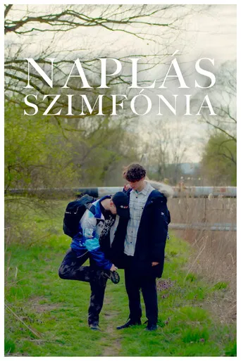 Naplás Szimfónia poster
