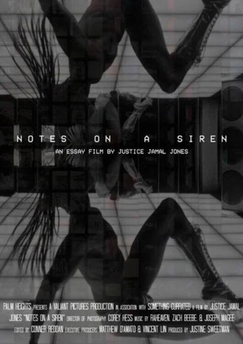 Notes On A Siren poster