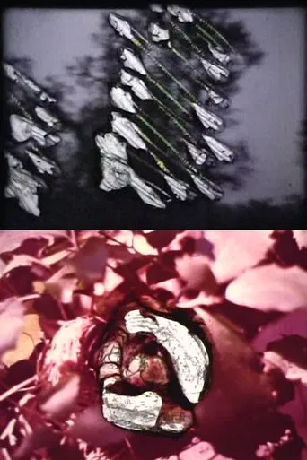 Reincarnation poster