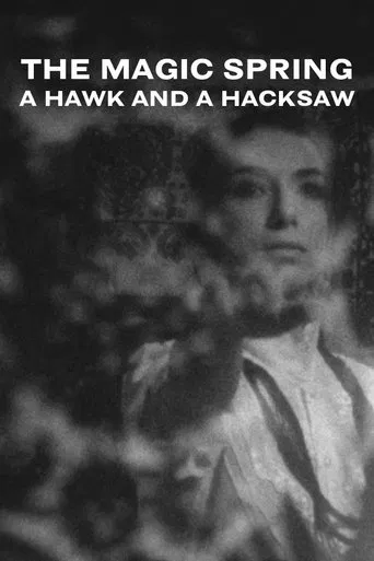 A Hawk and a Hacksaw - The Magic Spring poster