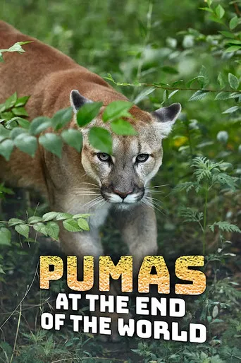 Pumas At The End of The World poster