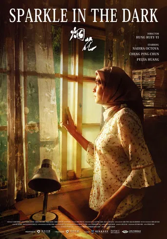 Sparkle in the Dark poster