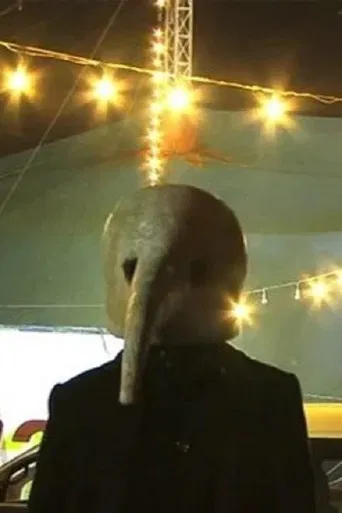 Antilef, La Caída Del Sol poster