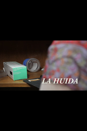 La huida poster