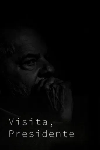 Visita, Presidente poster