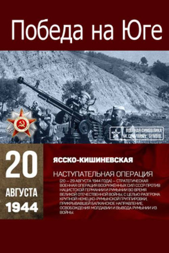 Victory in the South poster