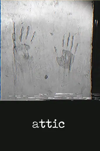 attic poster