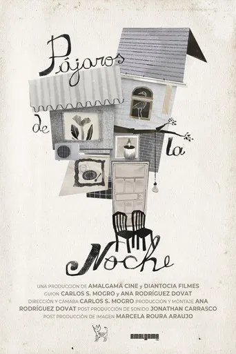 Pájaros de la noche poster