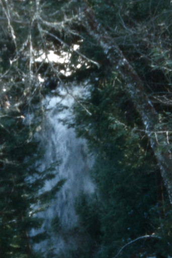 Leaves for a reel poster