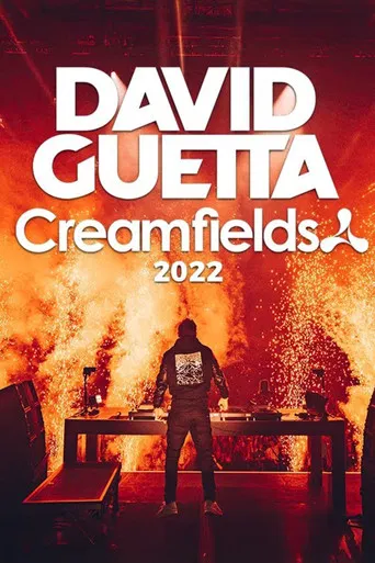 David Guetta - Live at Creamfields North poster