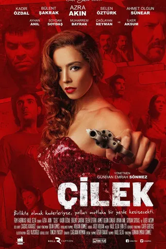 Çilek poster