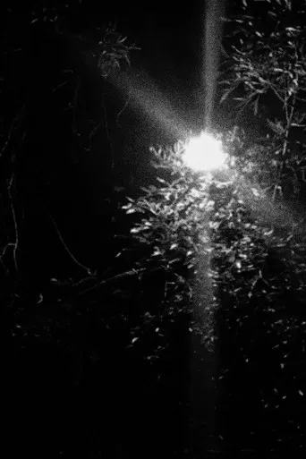 Nachtspaziergang poster