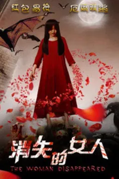 The Woman Disappeared poster