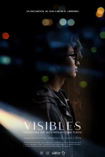 Visible: Transgender Youth Stories poster