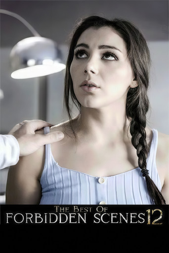 The Best of Forbidden Scenes 12 poster