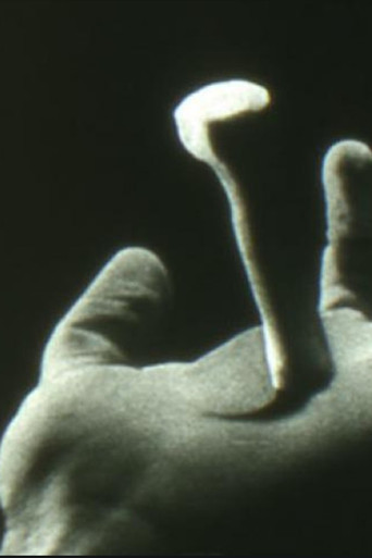 Non Catholicam poster