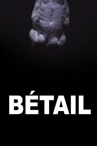 Bétail poster