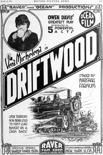 Driftwood poster