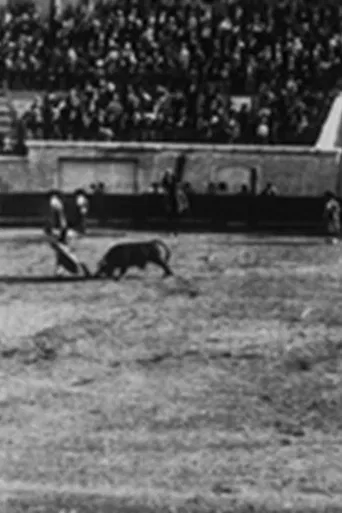 Course de taureaux : passements de manteaux poster