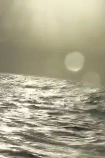 Le rêve est fini poster