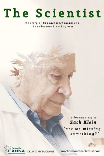 The Scientist: Are We Missing Something? poster