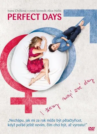 Perfect Days poster