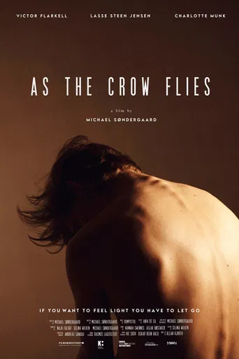 As the Crow Flies poster