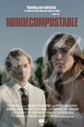 Nondecomposable poster