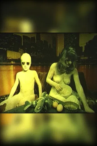 How to Make a New York Cake poster