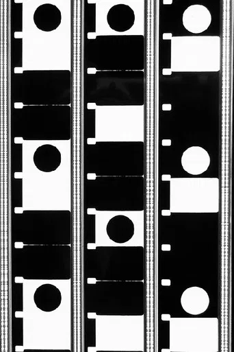 The Framing of Perception poster