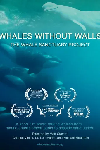 Whales Without Walls poster