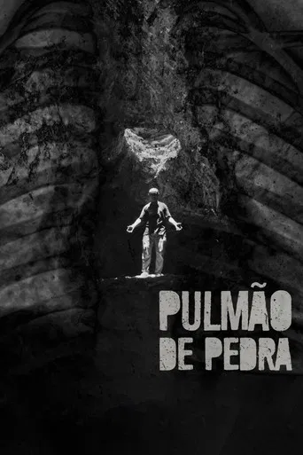Pulmão de Pedra poster
