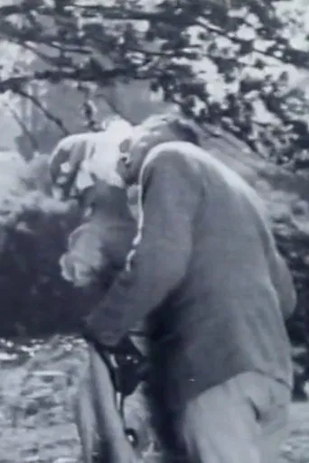 Hamilton Talks poster