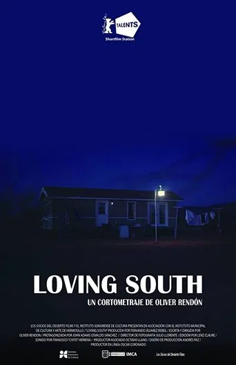 Loving South poster