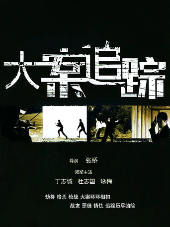 大案追踪 poster