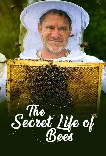 The Secret Life of Bees poster