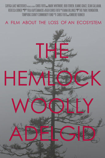 The Hemlock Woolly Adelgid: A Film About the Loss of an Ecosystem poster
