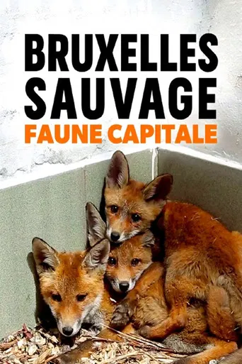 Brussels, the Wild Side poster
