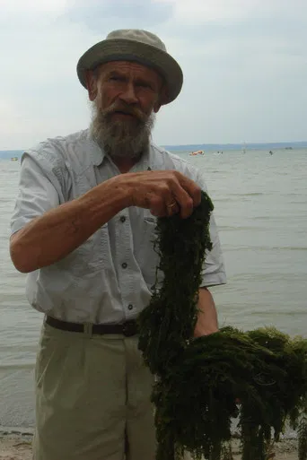 Cranberry Island poster