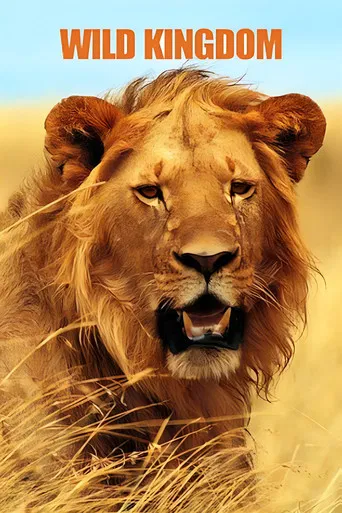 Wild Kingdom poster