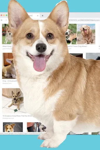 The Funniest Thing poster