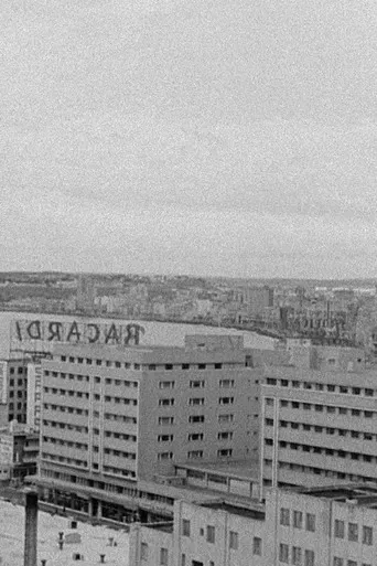 Looking for El Santo poster